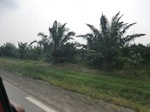 50741CIMG1370.JPG