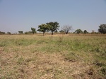 26646DSC00556.JPG