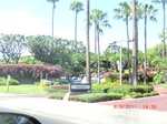 36345CIMG3547.JPG