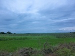 55977CIMG6656.JPG