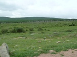 23784P1040863.JPG