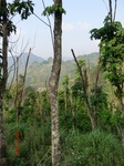 53517CIMG6858.JPG