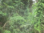 48373CIMG4710.JPG