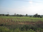 28159IMG_4991.JPG