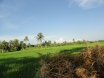 26045DSC00465.JPG
