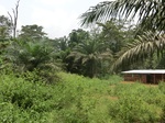 47884CIMG4221.JPG