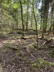 2025-05-21_10-09-21_IMG_7766.jpeg