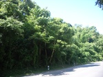 33574RIMG0239.JPG