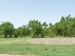 19156P1010002.JPG