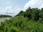 18215P1000051.JPG