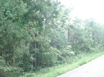 32354p86_s.jpg