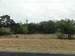 35753DSC02512.JPG
