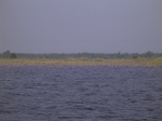 693R0015201.jpg