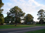 32593p237.jpg