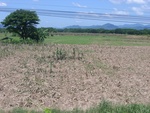 33579RIMG0244.JPG