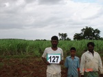 61070127a-irrigated-supplemental-groundwater-maize-dominant-sugarcane-sorghum-banana.jpg