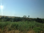 55540IMG_0703.JPG