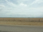 36077DSC02797.JPG