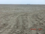 29796CIMG1169.JPG