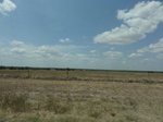 35722DSC02226.JPG