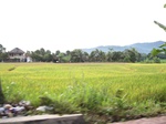 14619IMG_4995.JPG