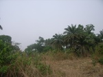 3961RIMG0265.JPG