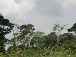 49245CIMG5582.JPG