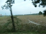 39621CIMG1722.JPG