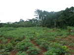 20200P1020054.JPG