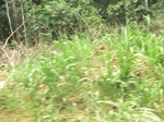 48826CIMG5163.JPG