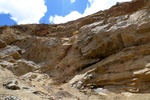 28654P1010671-1.JPG