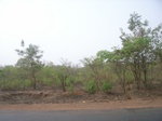 4001RIMG0305.JPG