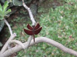16590IMG_5377.JPG