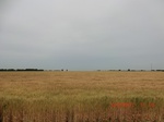 29604CIMG0872.JPG