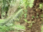 50714CIMG1343.JPG