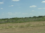 35134DSC02339.JPG
