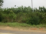 33021CIMG2182.JPG