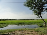 26049DSC00469.JPG