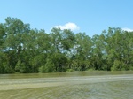 54711Bulungan (207).JPG