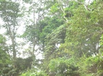 48638CIMG4975.JPG