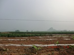 33128CIMG2364.JPG