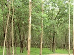 34866CIMG1537.JPG