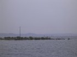 1579R0015239_small.jpg