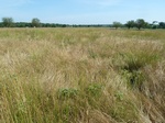 54024BRIS20120605GPS.JPG