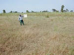 12222GT046_1yr_fallow_grass.JPG