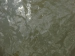 58620CIMG3070.JPG