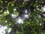 46798DSC02136.JPG