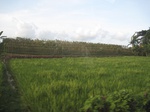 14404IMG_4748.JPG