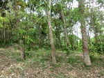 44014CIMG1199.JPG