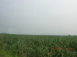 32766CIMG1898.JPG